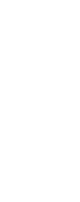 salimlogobild_white